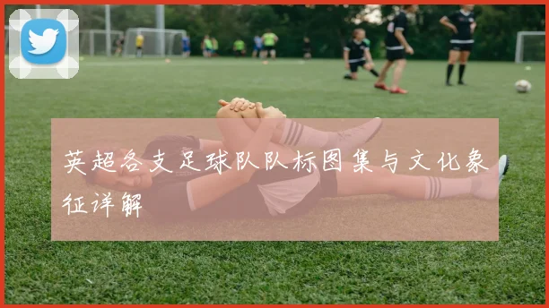 英超各支足球队队标图集与文化象征详解