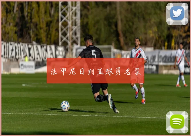 法甲尼日利亚球员名录
